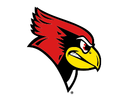 RED Performance Soccer Camps 
